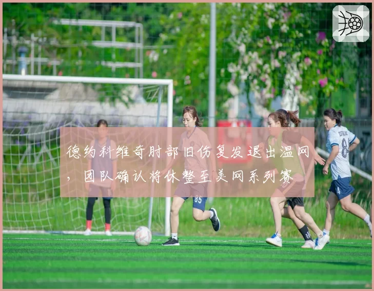 德约科维奇肘部旧伤复发退出温网，团队确认将休整至美网系列赛